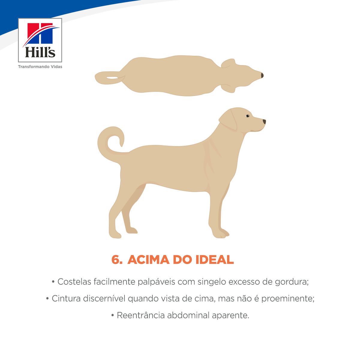 Acima do ideal