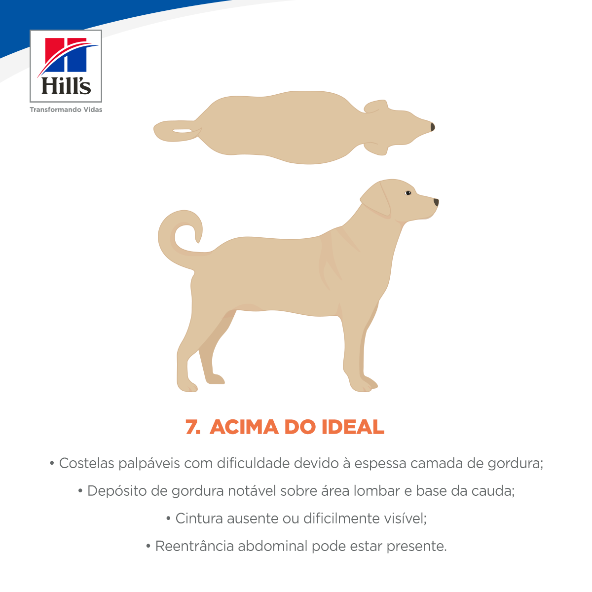 Acima do ideal