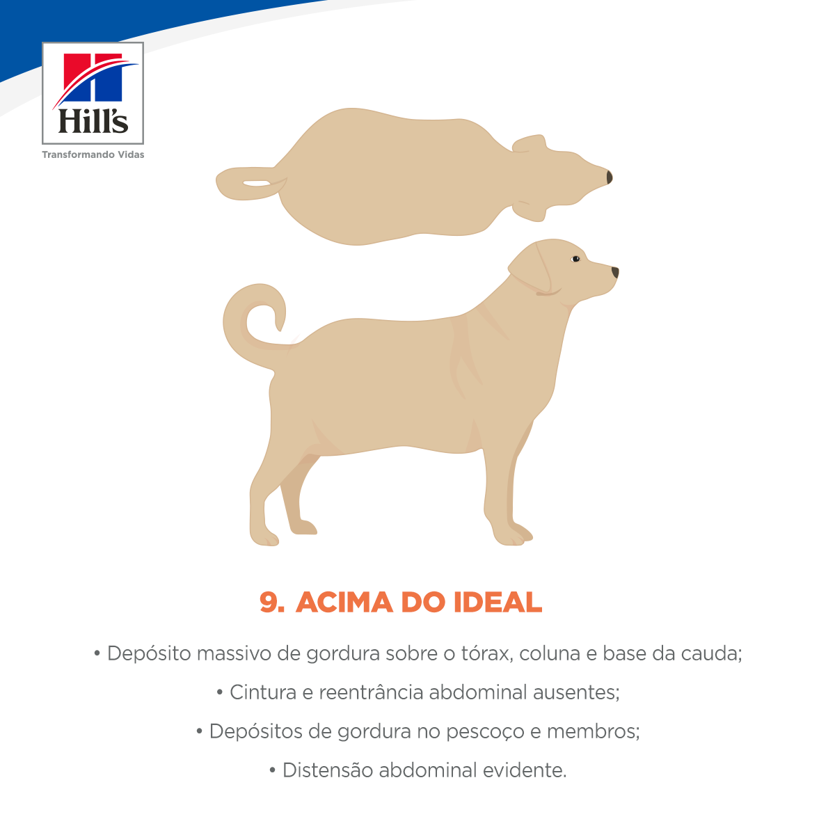 Acima do ideal